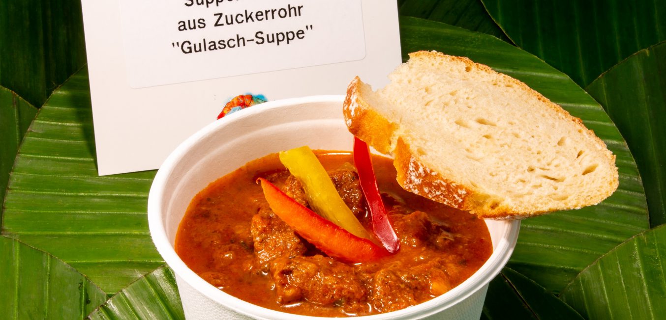 Suppen-Bowl aus Zuckerrohr "Gulasch-Suppe"